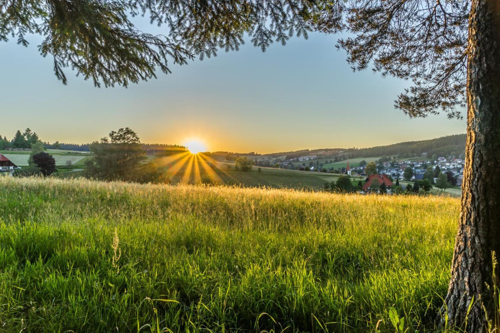 Landhaus Panoramablick Schonach im Schwarzwald Zewnętrze zdjęcie