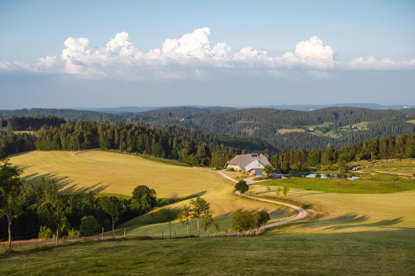 Landhaus Panoramablick Schonach im Schwarzwald Zewnętrze zdjęcie