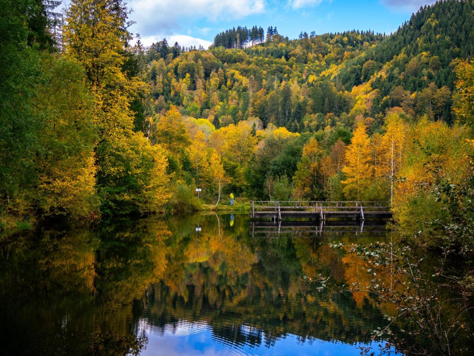 Landhaus Panoramablick Schonach im Schwarzwald Zewnętrze zdjęcie