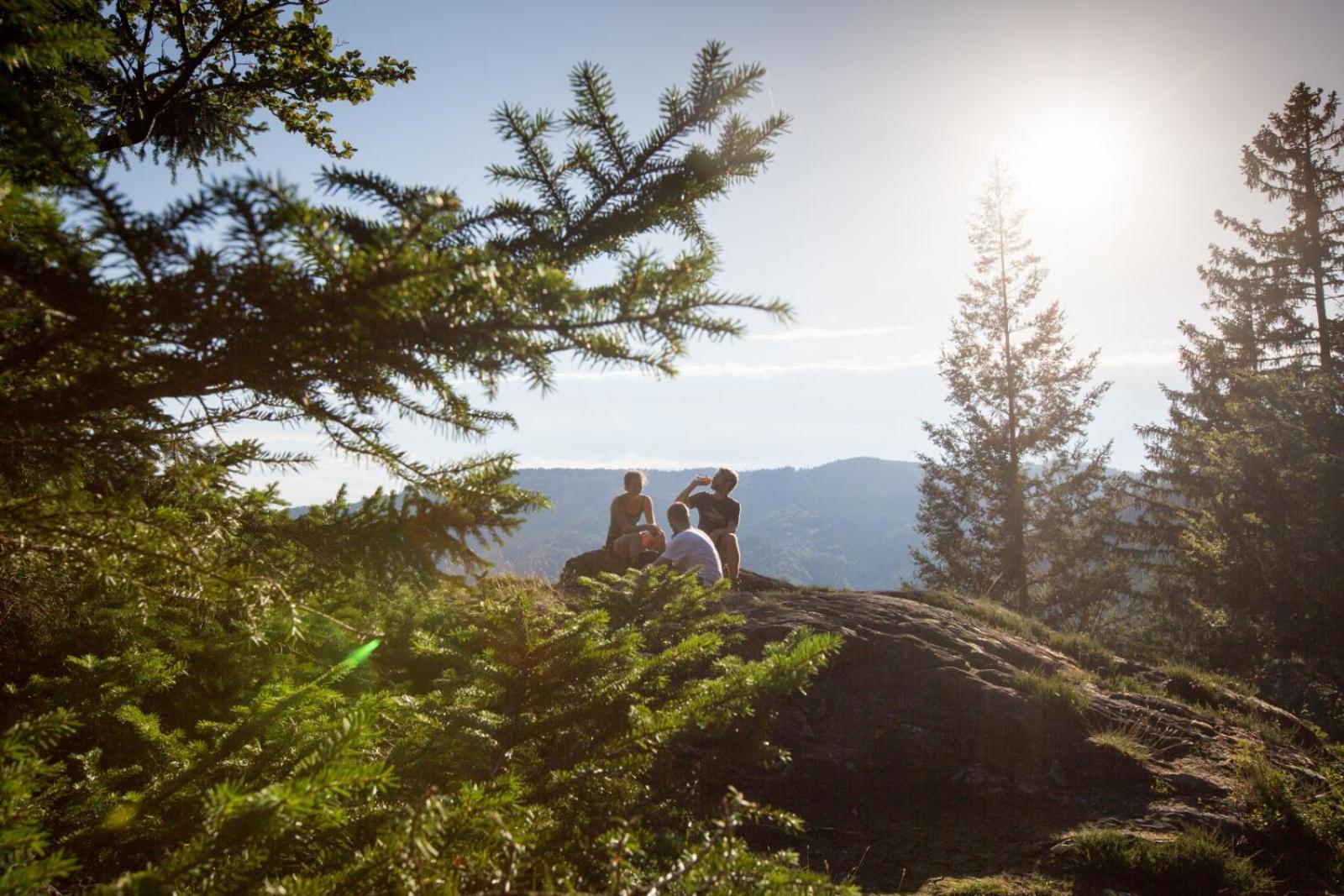 Landhaus Panoramablick Schonach im Schwarzwald Zewnętrze zdjęcie